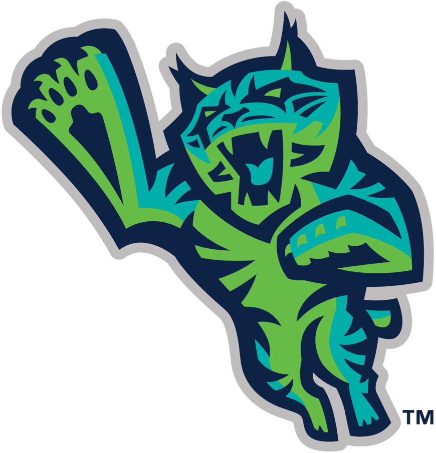 Lynchburg Hillcats 2017-Pres Alternate Logo iron on transfers for T-shirts